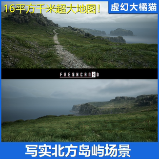 UE4虚幻5 Northern Island Pack 4x4 km 北欧海岛场景岩石崖植物