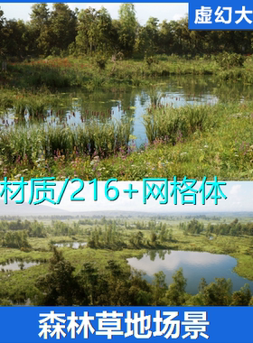 UE5 MW Meadow Forest Trees Biome草地森林场景野花树木落叶湖泊