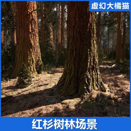 UE4虚幻5 MW Redwood Forest Trees Biome红杉树森林场景石头落叶