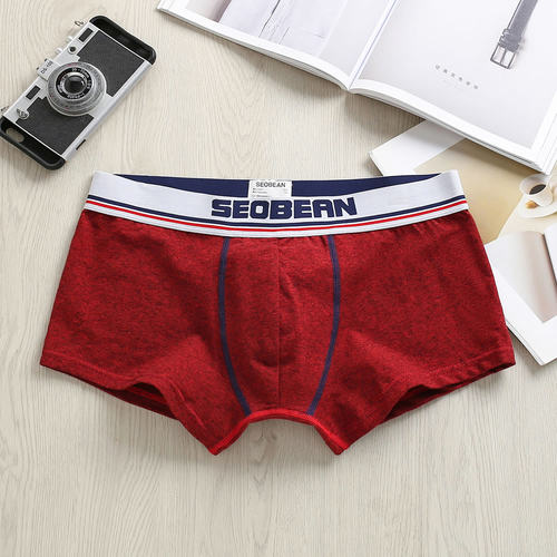 舒适中腰学生青年运动内裤