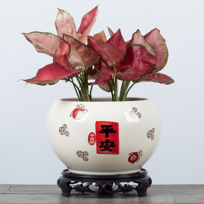 陶瓷花盆奶油风新中式简约轻奢暖居家用蝴蝶兰桌面花器绿植盆景盆,鲜花速递/花卉仿真/绿植园艺,花盆,淘宝优惠券,粉丝福利购,淘宝优惠卷