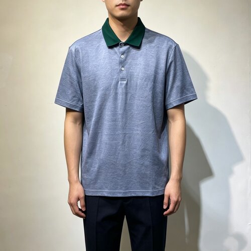 AD230男士夏季翻领短袖日常休闲百搭款上衣T恤