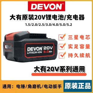 适用大有电动扳手锂电池20V电锤角磨机电锯冲击钻充电电池充电器