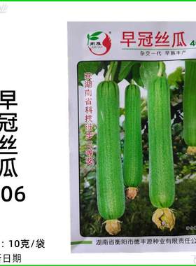 早冠406丝瓜种子高产早熟肉特早丝瓜良种春夏秋冬蔬菜种孑