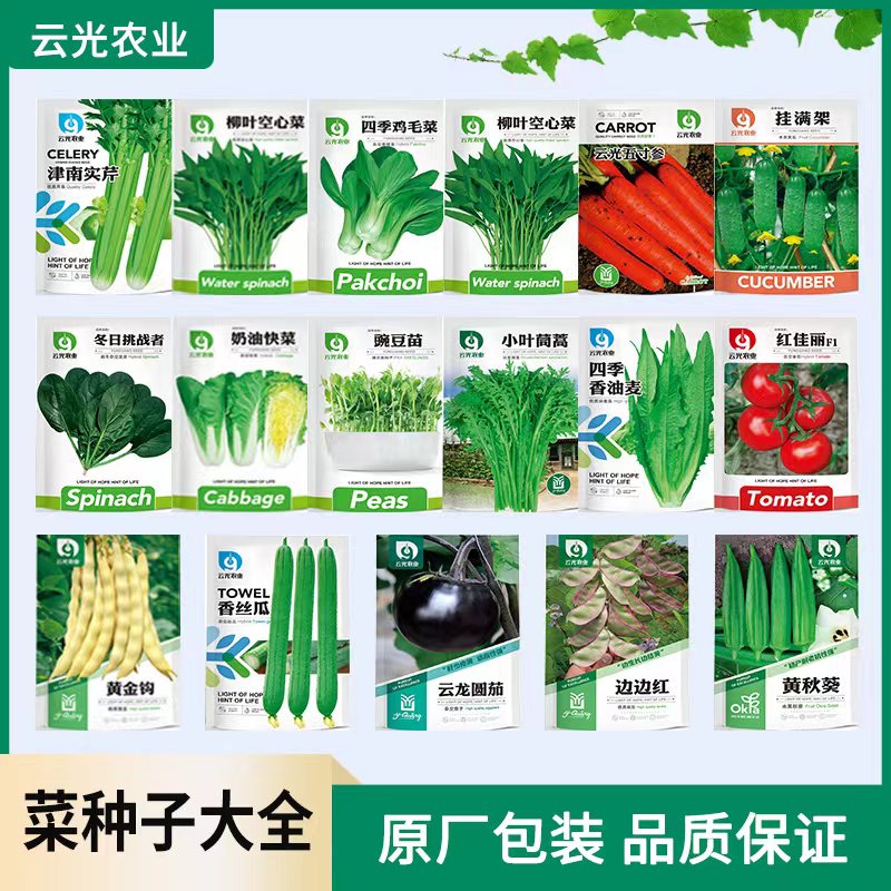 蔬菜种孑子大全四季播种
