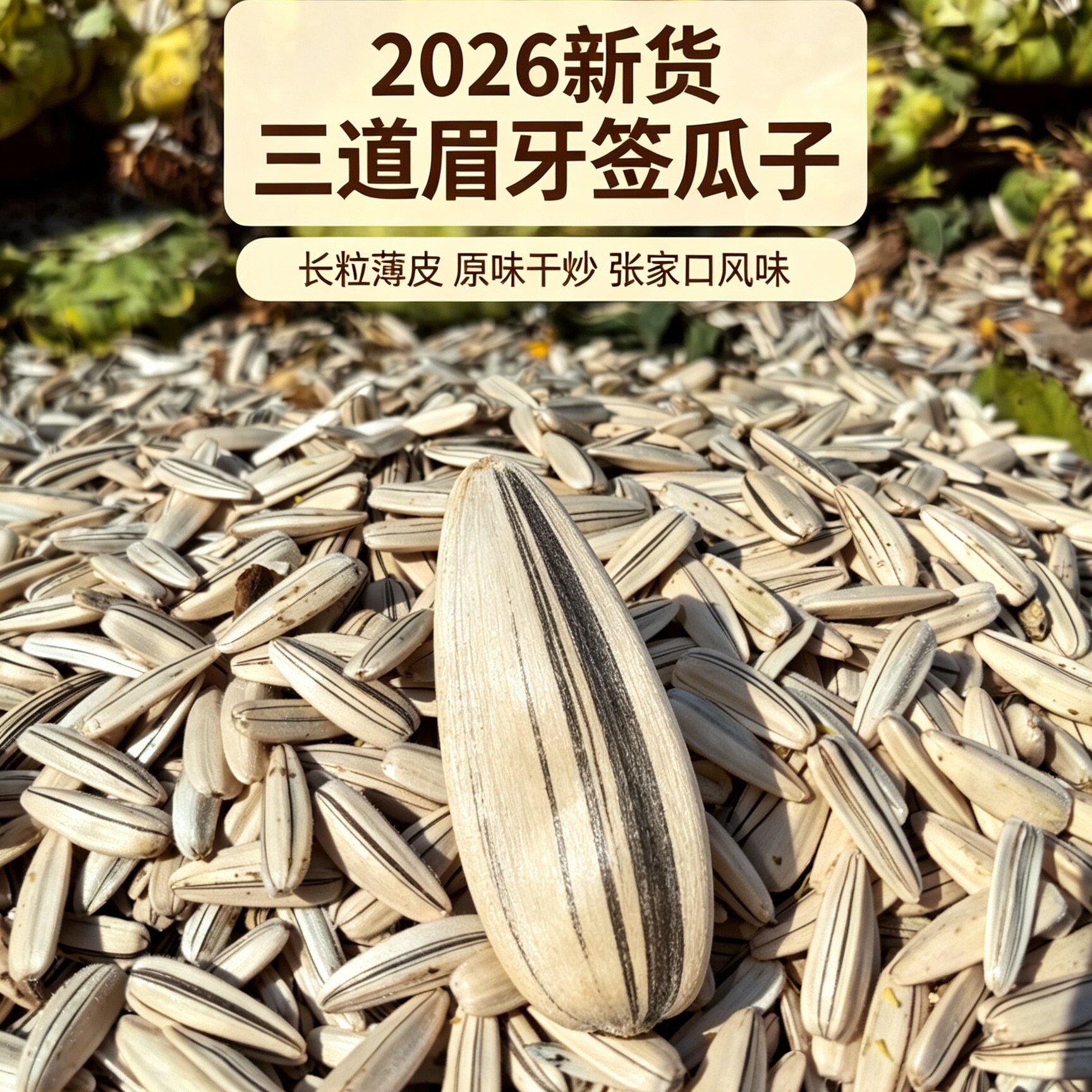农家自种三道眉生瓜子 2026新货老磕葵狼牙葵花籽 原味炒货散装