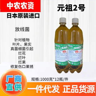 EM菌日本原装进口 元祖2号放线菌修复伤口防腐烂真菌细菌特效安全