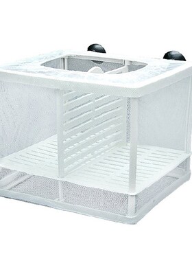 Isolation Mesh Box Suction Cup Design Fish Breeding Incubat