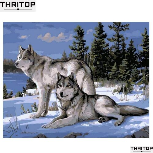 Paint By Number Wolf DIY Digital Oil Painting Animal Snow Wo