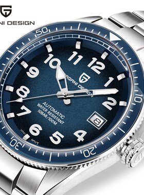 PAGANI DESIGN Men's Watches Brand Luxury Wristwatch Auto