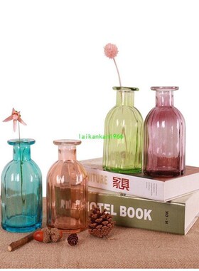 MINI DIY Glass Vase Office Decor Creative Hydroponic Bottle