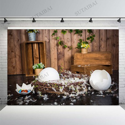 Spring Flowers Easter Backdrop Photography Eggs Eggshell Wo