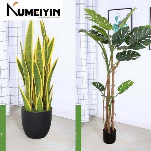 large nordic traveler banana simulation green plant paradi