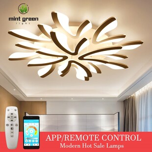 Led Chandelier Ceiling Lamps Modern LED Ceiling Light Living