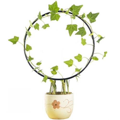 Metal Iron Plant Support Frame Stand Round Heart Shaped Plan