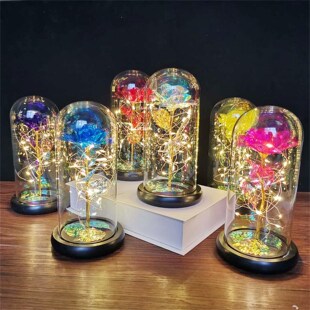 Rose Romantic Gift Preserved Rose Flower In Glass Dome, Red