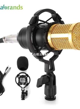 LEIHAO Wired Condenser Sound Recording Microphone Microfone