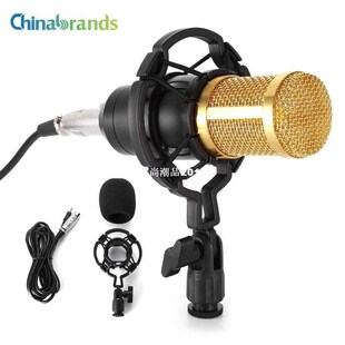 LEIHAO Wired Condenser Sound Recording Microphone Microfone