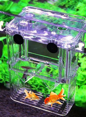 New Acrylic Fish Breeding Isolation Box Fish Tank Aquarium