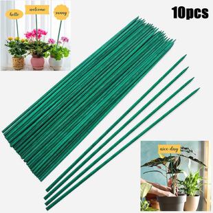 For 40cm Plant Support 10pcs Flowers Stand Pile Greenhouse