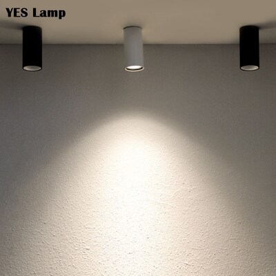 LED COB Downlights Surface Mounted 3W 5W 7W 10W Mounted Cei