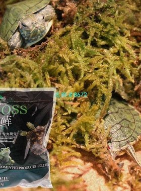 100g Natural Terrarium Moss Reptile Turtle Moss Substrate Ha
