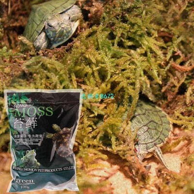100g Natural Terrarium Moss Reptile Turtle Moss Substrate Ha