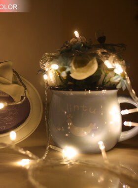 1 5M 10 50LEDS Holiday lights Perfectly decoration Led Ligh