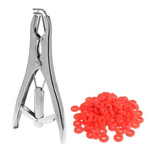 1 Set Animal Castration Pliers With Rubber Ring Tail Cutting