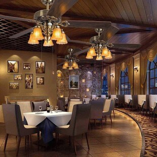 tianjun with electric fan chandelier ceiling fan light hom