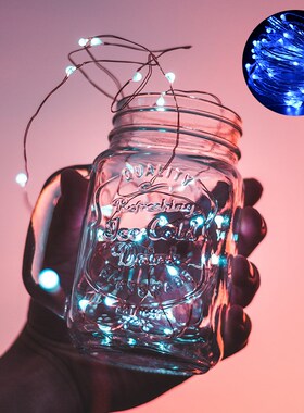 LED Light 2m 5m 10m Copper Wire/Silver Wire Christmas Valen