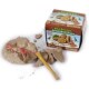Dinosaur Novelty Eggs DIY Excavation Toys Gag Foss