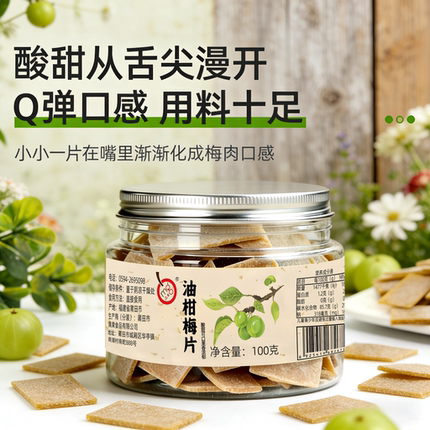 满果油柑梅片无核梅片酸甜解腻回甘零食100g