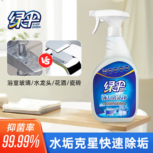 绿伞660g*1瓶地砖强力去污清洁剂