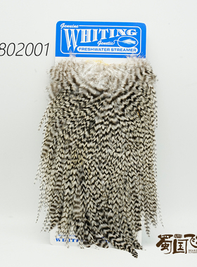 现货美国 WHITING 斑纹鞍部饰带羽毛飞钓毛钩绑制材料 蜀国飞蝇