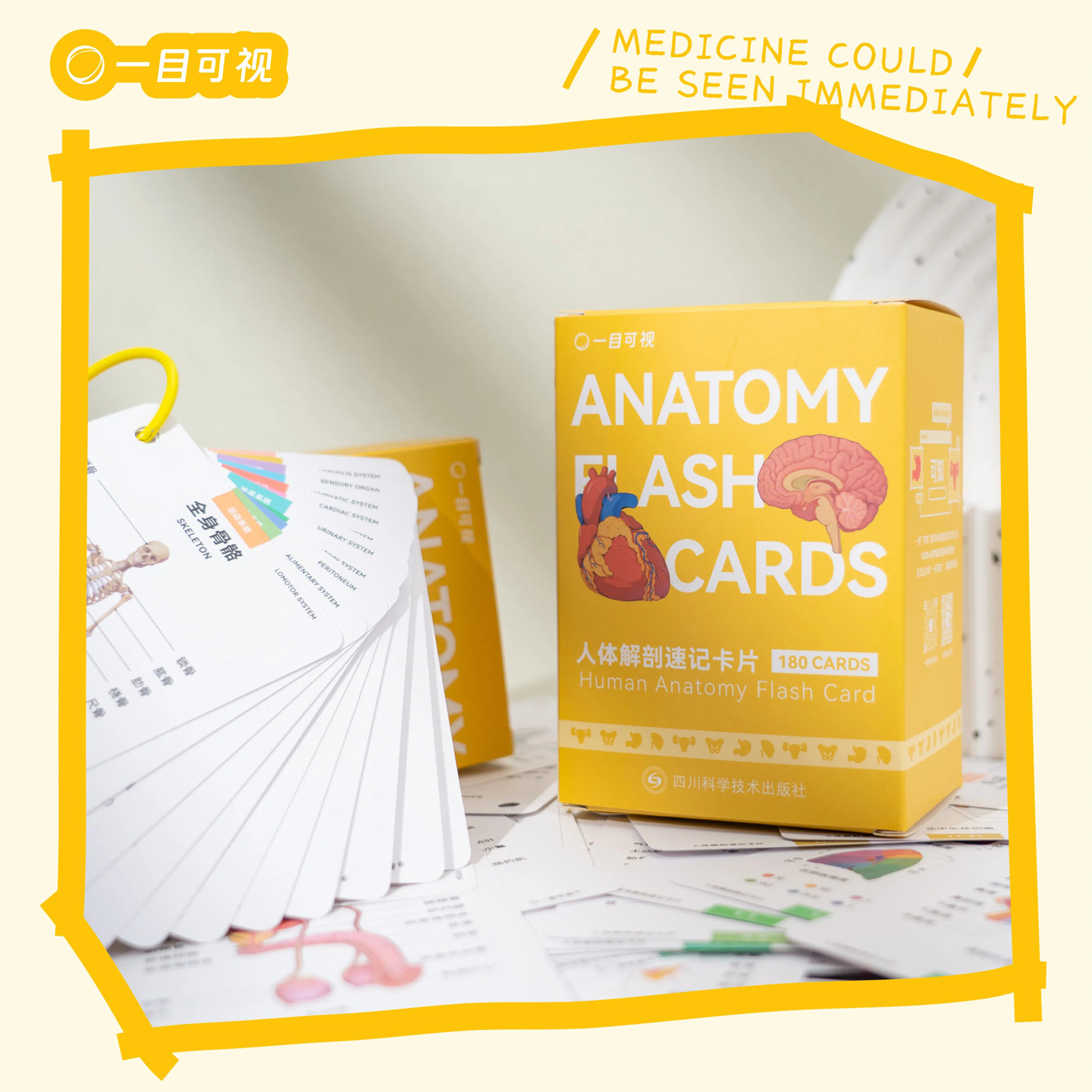 一目可视人体解剖速记卡片医学生学习科普好物超全180张医学手册