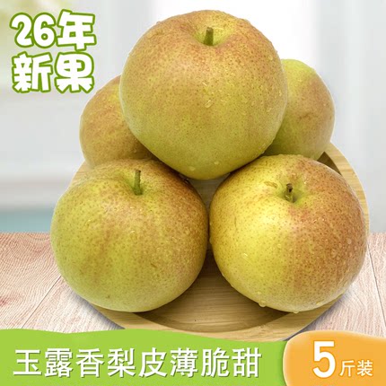 2026新鲜玉露香梨纯甜无渣5斤梨子水果薄肉厚核小山区青梨