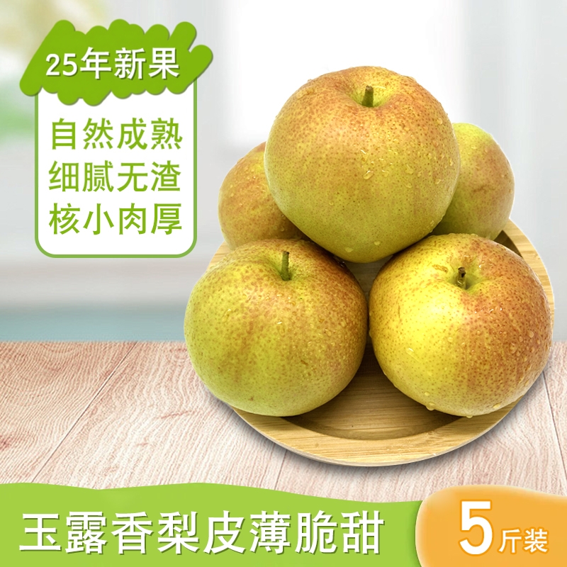 正宗新鲜玉露香梨5斤装爆甜多汁水果梨皮薄肉厚果核小百年老树