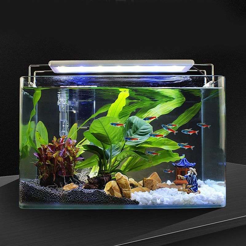 玻璃鱼缸客厅小型家用金鱼水族箱造景生态长方形乌龟裸缸