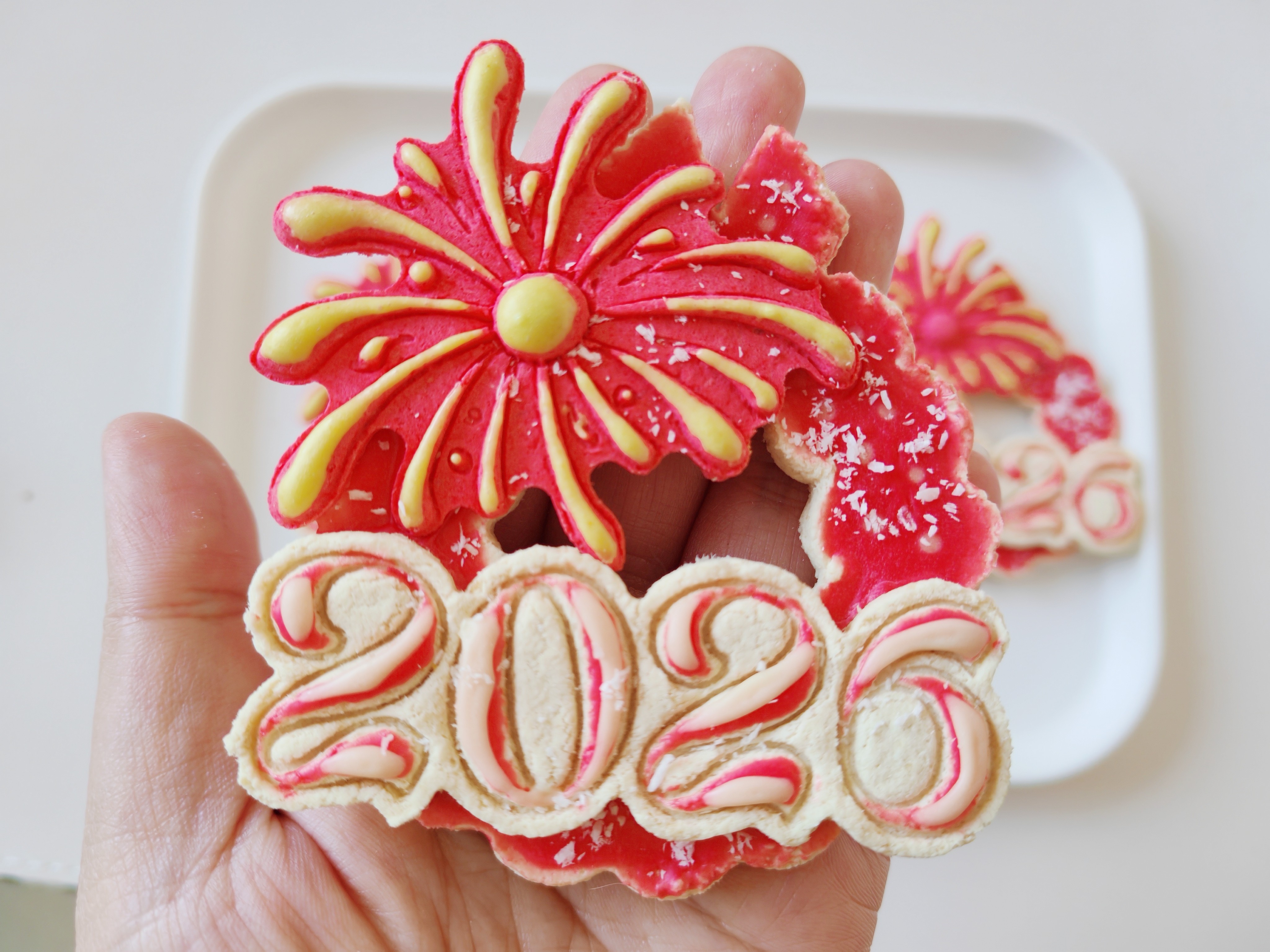 宠物零食纯手工自制无添加鸡肉奶酪新年饼干猫狗通用奖励互动零食
