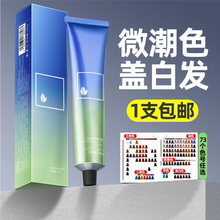 染膏发廊专用微潮色盖白发美发店单支染膏理发店无氨味染发膏批发