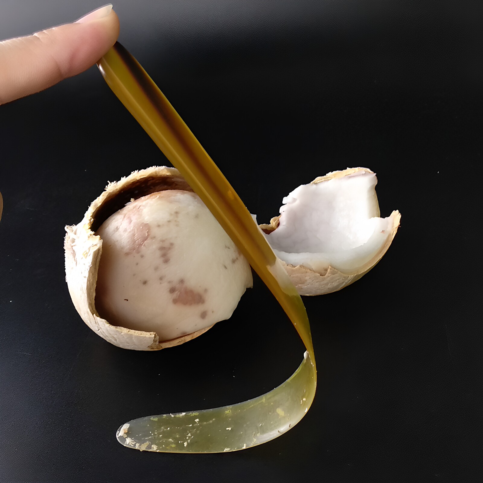 厂家开椰子蛋牛角软刀开椰神器网红抖音挖椰球椰子下蛋专用刀包邮