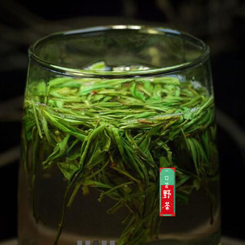 2026年新茶兰香春茶绿茶黄山毛峰茶云雾茶深山野生茶手工农家手工 - 封面