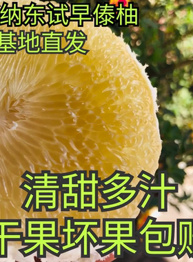 柚子西双版纳柚子傣柚清甜当季