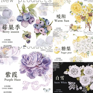 （分装）林野间 白雪 暖阳 紫霞 莓果季 糖梨 手帐贝壳光pet胶带