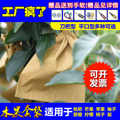 枇杷芒果专用桃子柚子梨专用套袋