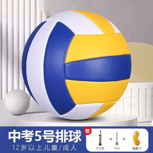 排球中考专用软硬5号初