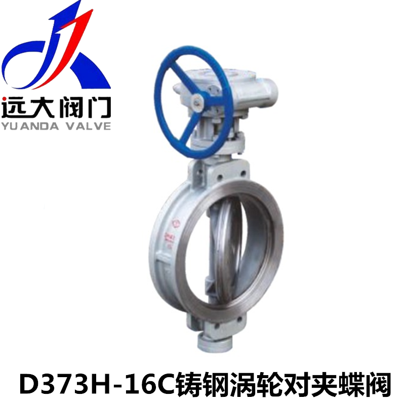 河北远大阀门D373H-10/16/25C铸钢硬密封涡轮对夹蝶阀DN50-3400