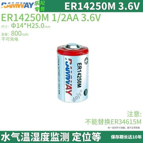 ER14250M氧气CO气体检测报警仪