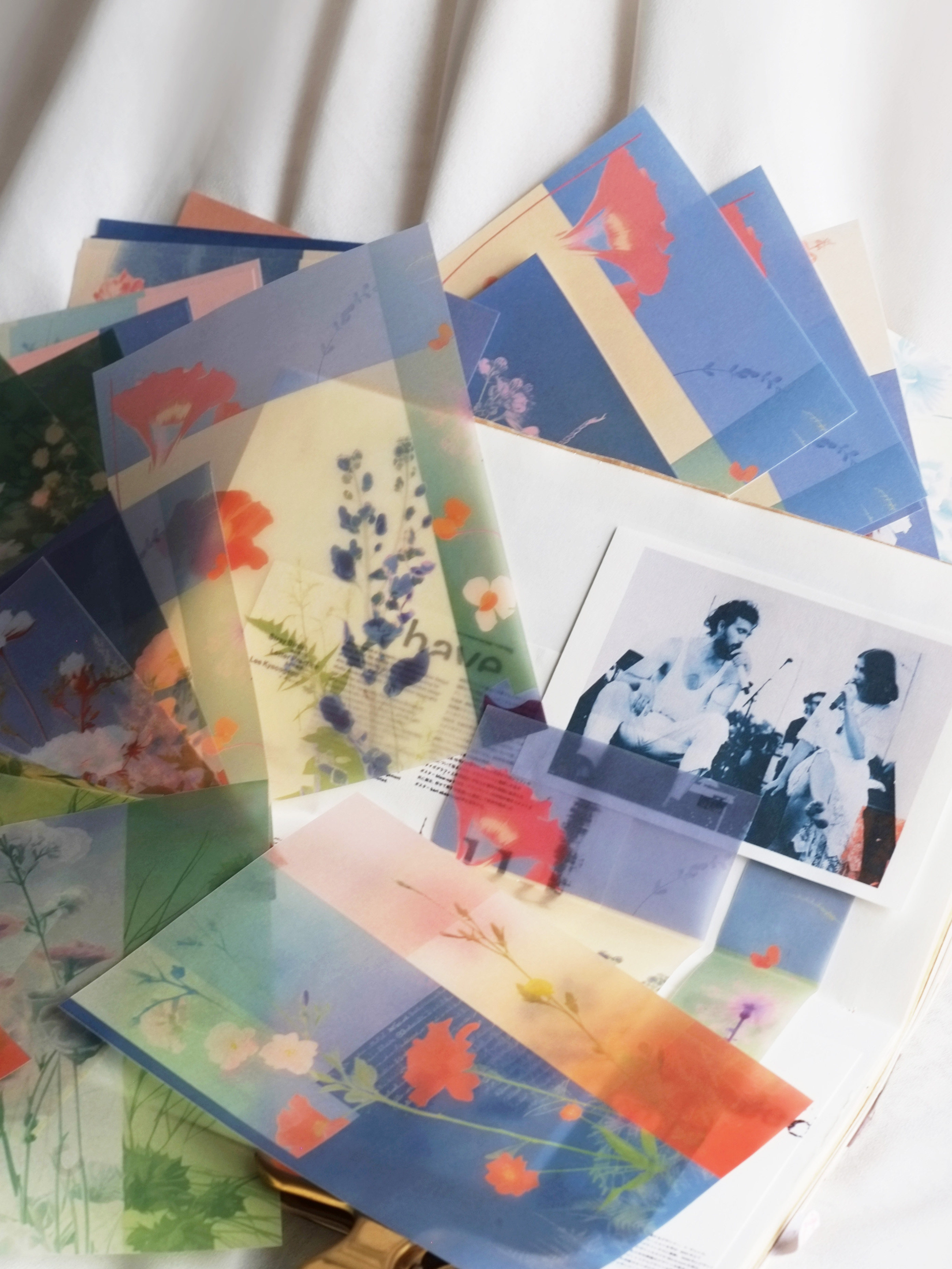 【烂漫时】in1原创轻复古手帐贴纸 硫酸纸便签拼贴植物背景素材包